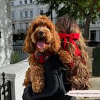 Adjustable Tartan Dog Harness product image 14