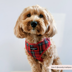 Adjustable Tartan Dog Harness product image 16