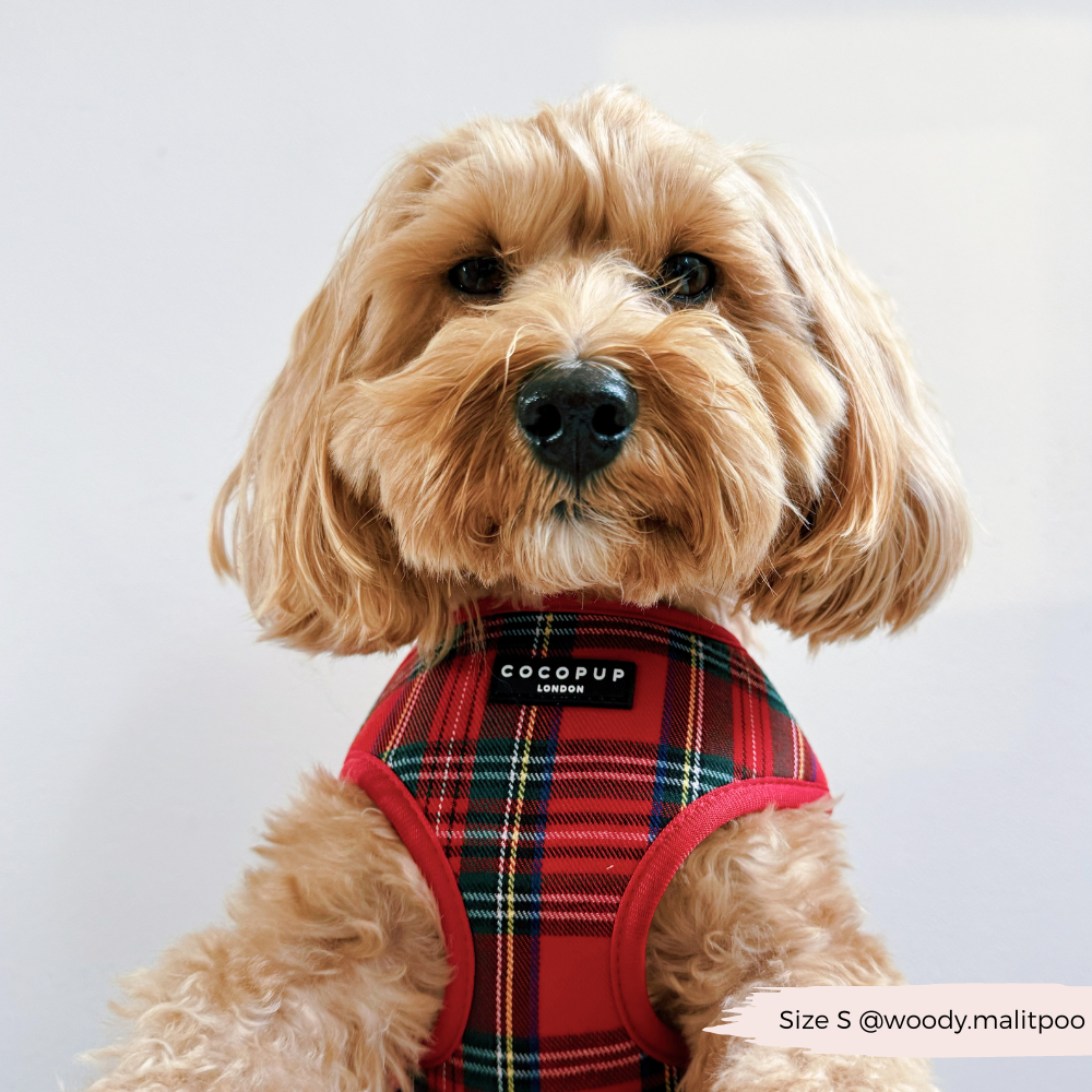 Adjustable Tartan Dog Harness product image 17
