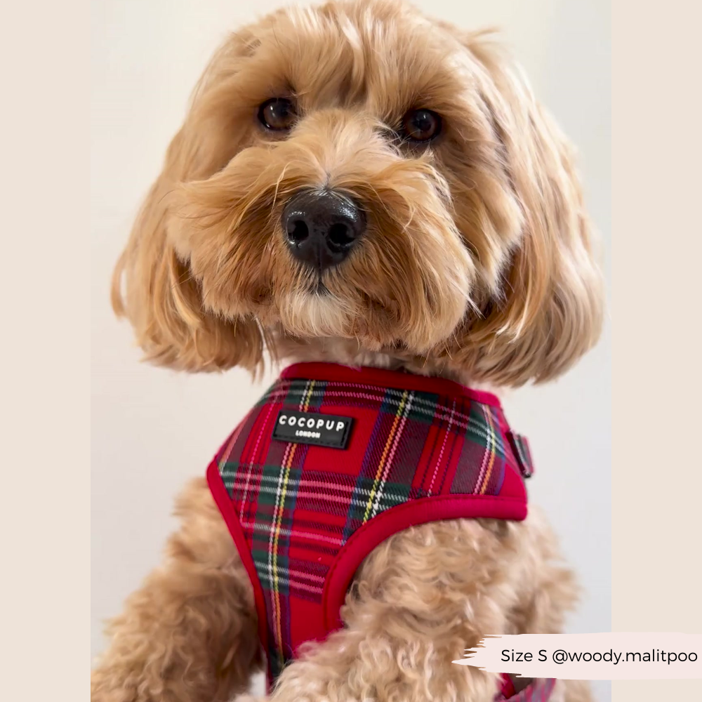 Adjustable Tartan Dog Harness product image 18