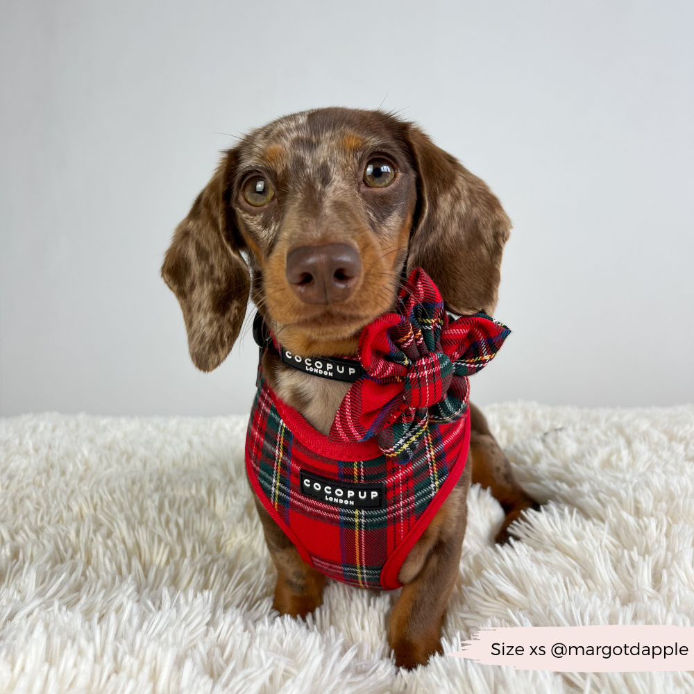 Adjustable Tartan Dog Harness product image 19