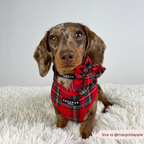 Adjustable Tartan Dog Harness product image 19