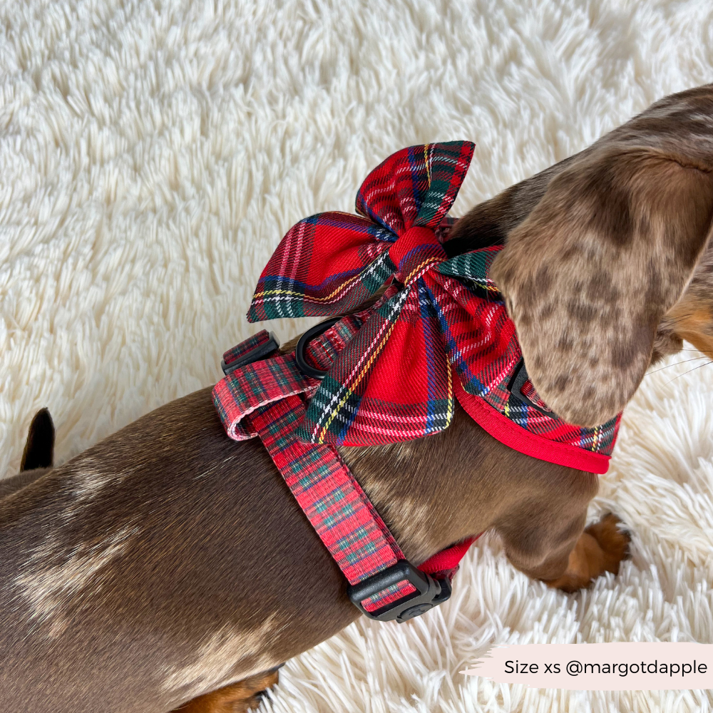 Adjustable Tartan Dog Harness product image 20