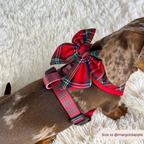 Adjustable Tartan Dog Harness product image 20