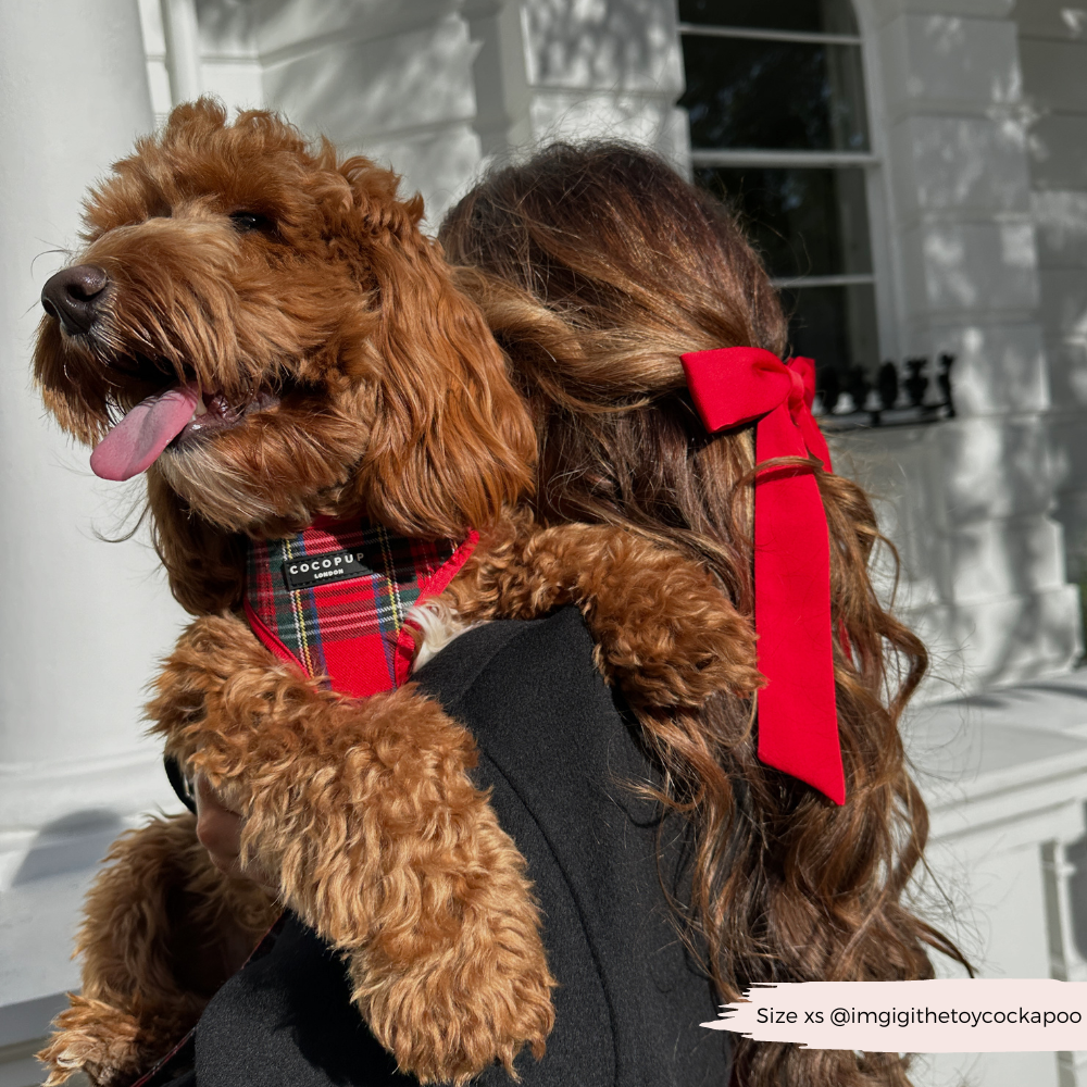 Adjustable Tartan Dog Harness product image 24