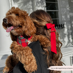 Adjustable Tartan Dog Harness product image 24