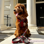 Adjustable Tartan Dog Harness product image 25
