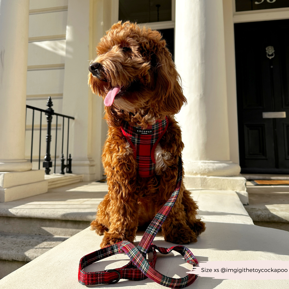 Adjustable Tartan Dog Harness product image 25