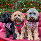Adjustable Tartan Dog Harness product image 26
