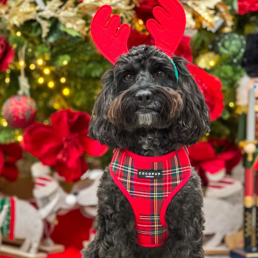 Adjustable Tartan Dog Harness product image 27
