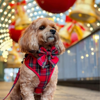 Adjustable Tartan Dog Harness product image 29