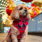Adjustable Tartan Dog Harness product image 35