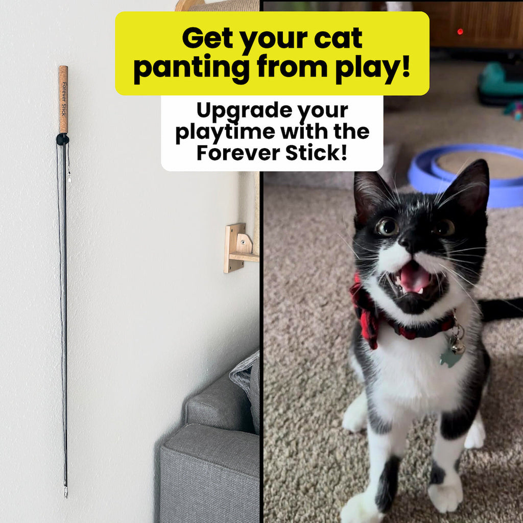Cat Wand Toy product image 9