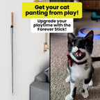 Cat Wand Toy product image 9