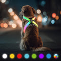 LED dog harness product image 1