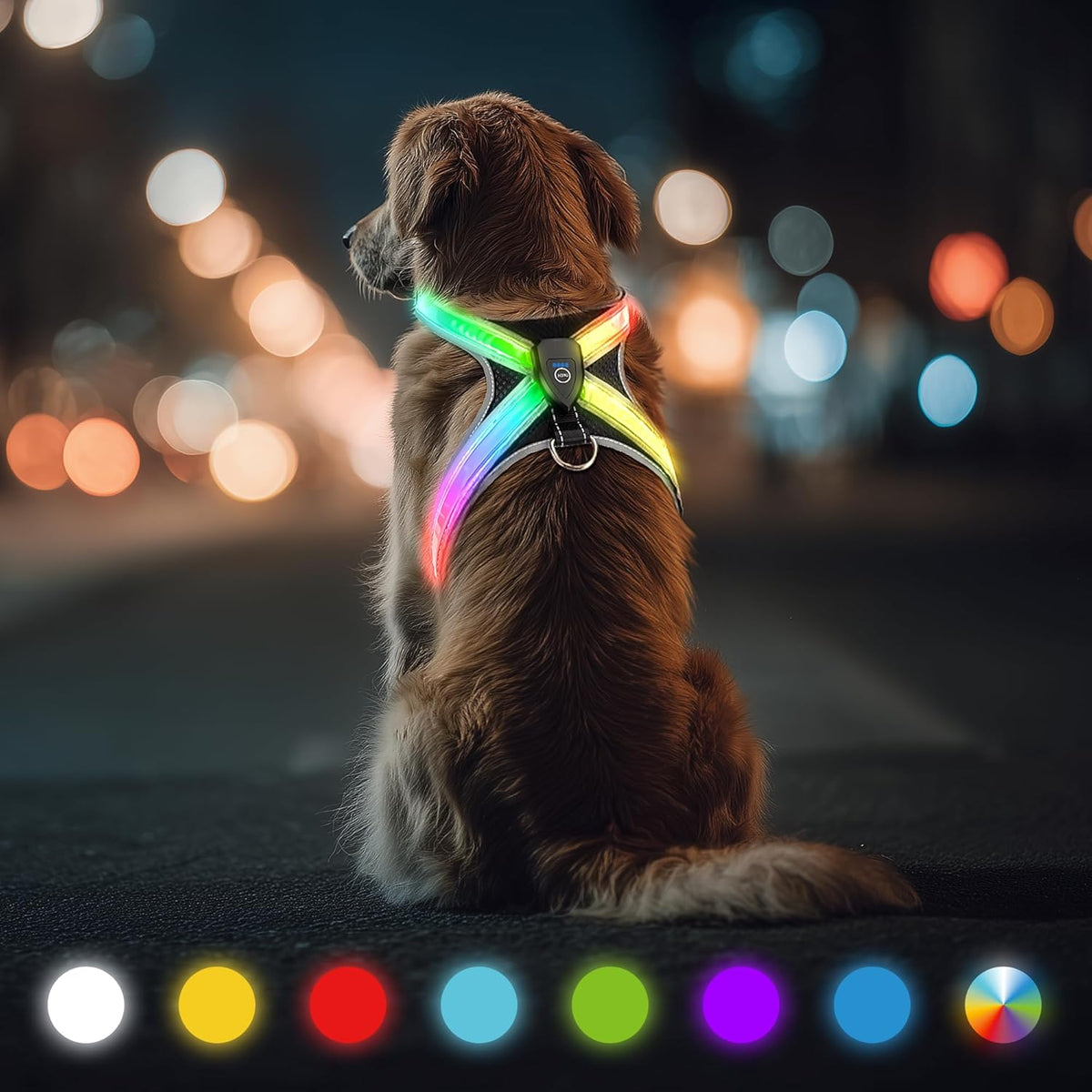 LED dog harness product image 1