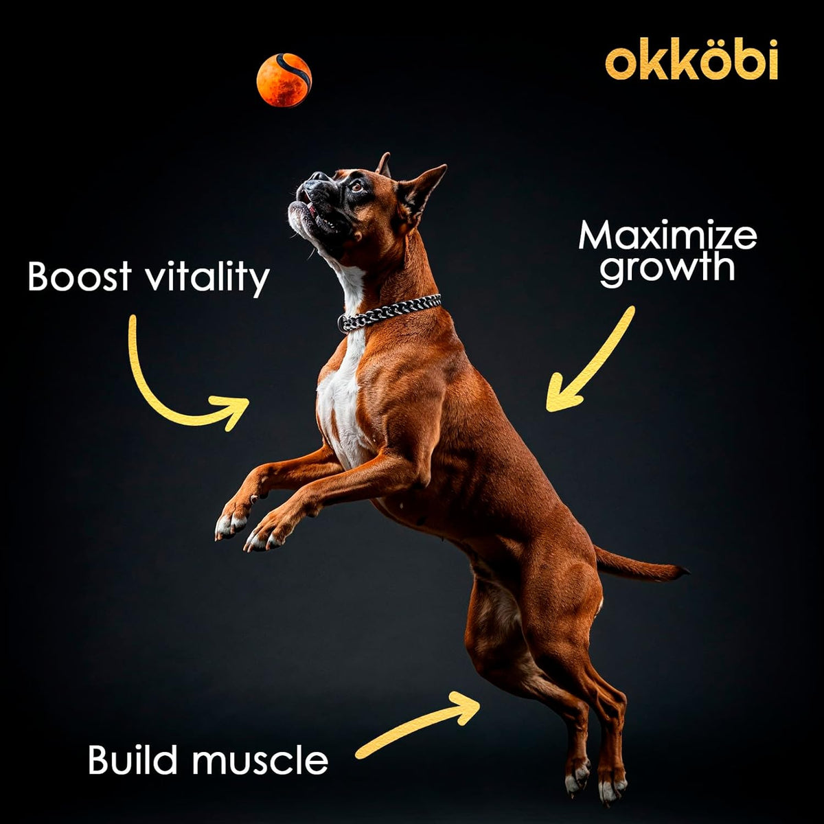 Dog Muscle Gain Chews product image 5
