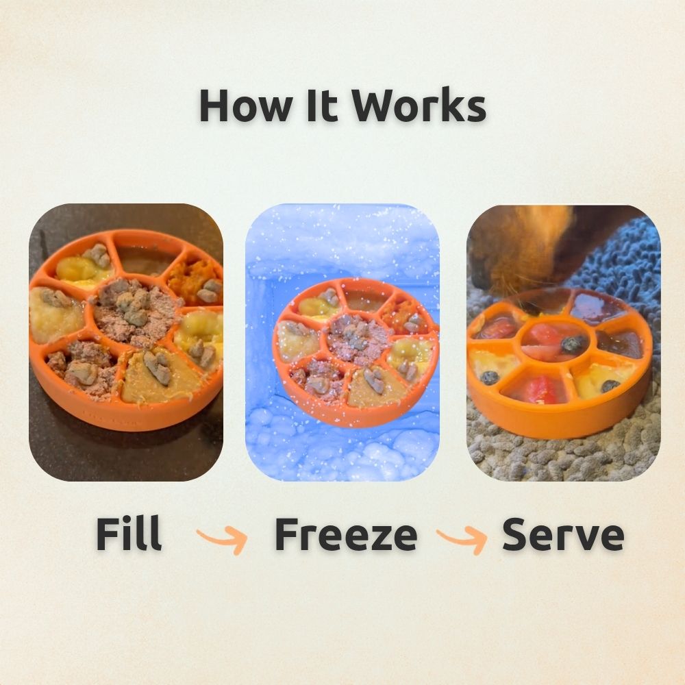 Dog Enrichment Toy Bundle product image 3