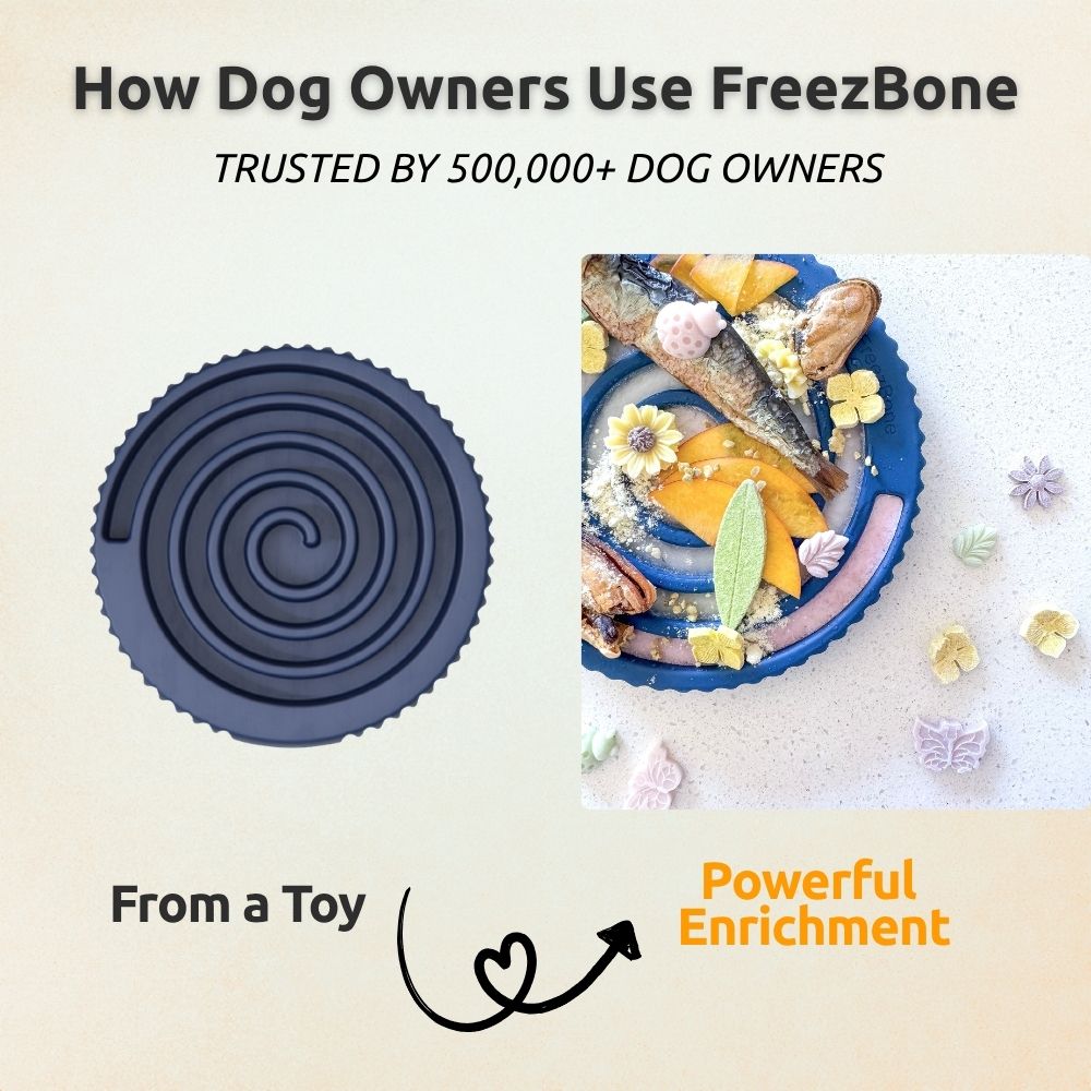 Dog Enrichment Toy Bundle product image 8