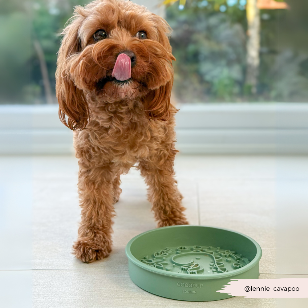 Slow Feeder Dog Bowl product image 9