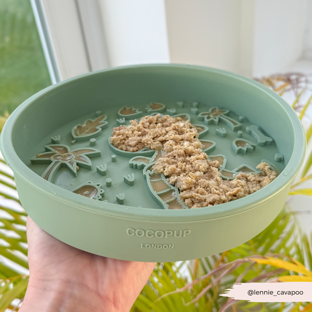 Slow Feeder Dog Bowl product image 10