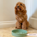 Slow Feeder Dog Bowl product image 11