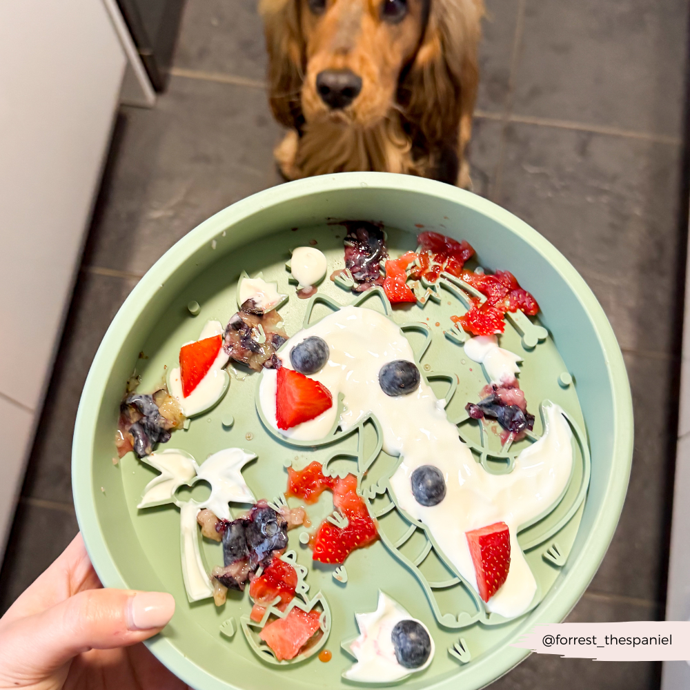 Slow Feeder Dog Bowl product image 12