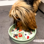 Slow Feeder Dog Bowl product image 13