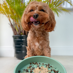 Slow Feeder Dog Bowl product image 17