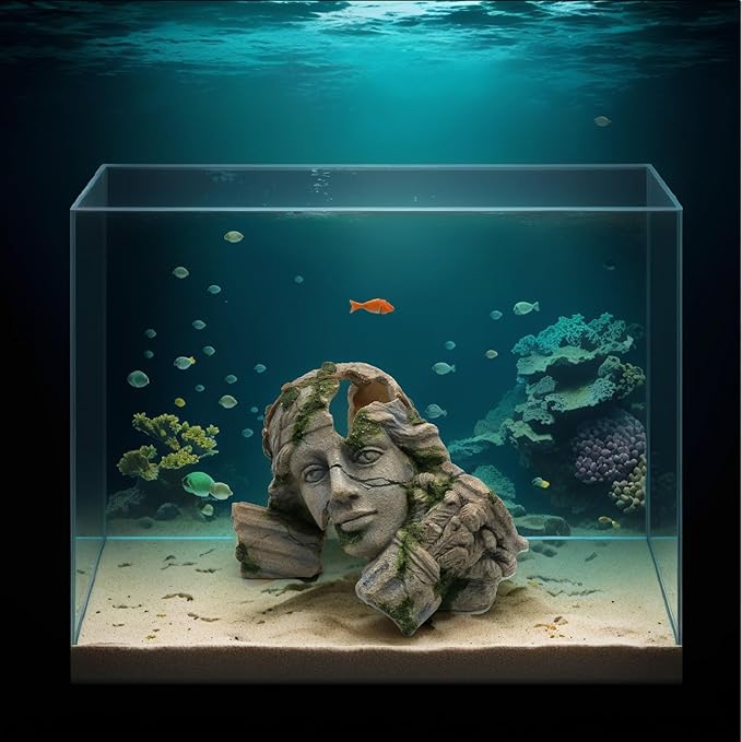Aquarium Cave product image 3