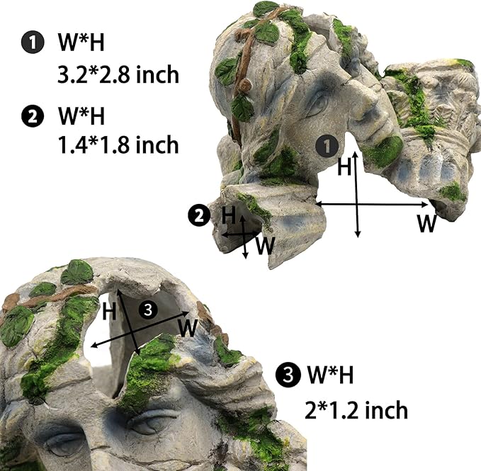 Aquarium Cave product image 5