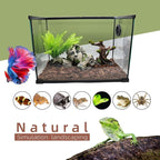 Aquarium Cave product image 7