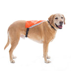 Dog Safety Vest product image 2