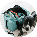 Dog Travel Bag product image 8