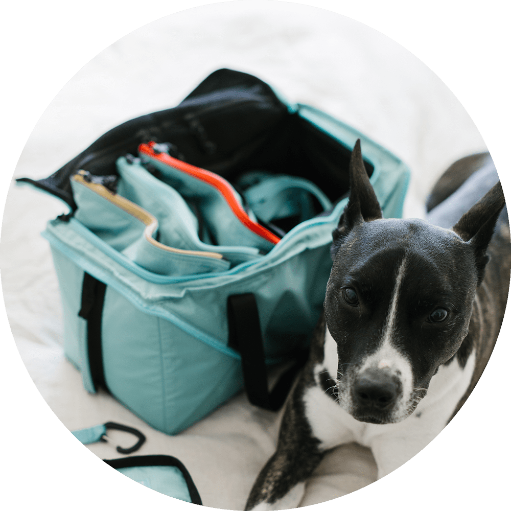 Dog Travel Bag product image 8