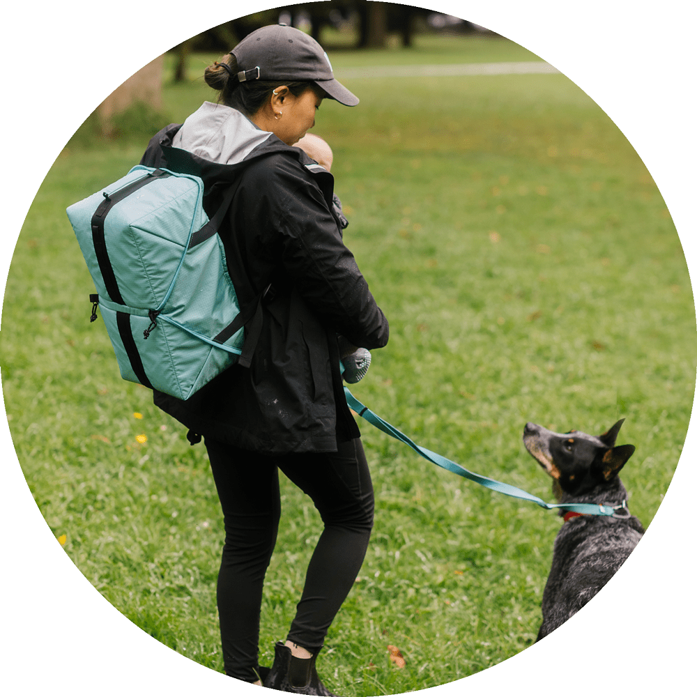 Dog Travel Bag product image 9