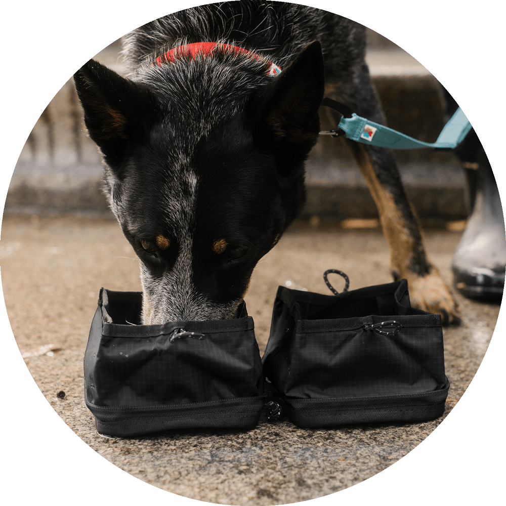 Travel Dog Bowl product image 6