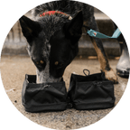 Travel Dog Bowl product image 6