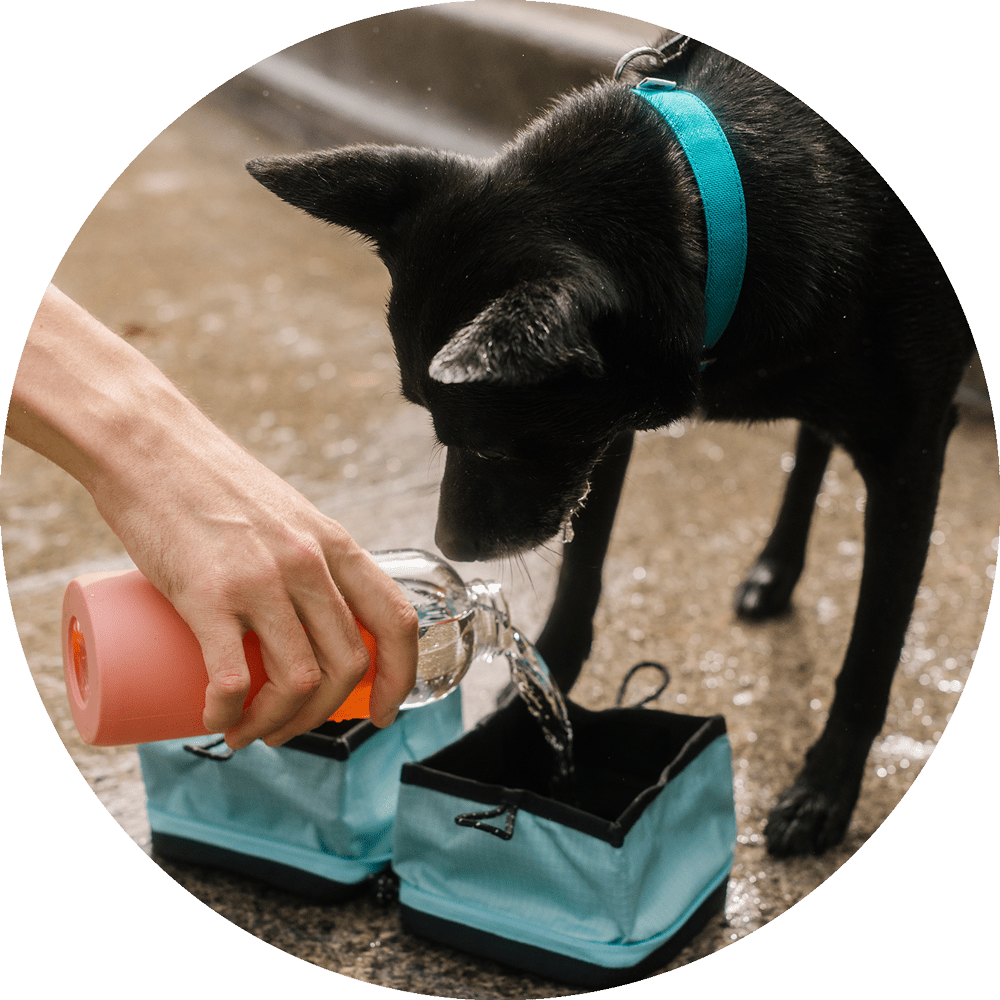 Travel Dog Bowl product image 12