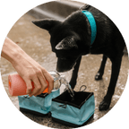 Travel Dog Bowl product image 12