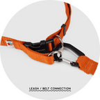 Hands-Free Dog Leash product image 6