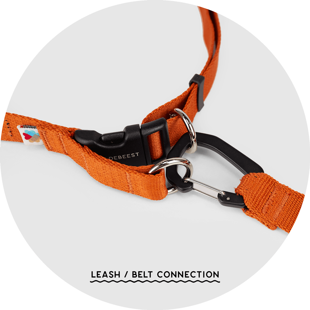 Hands-Free Dog Leash product image 6