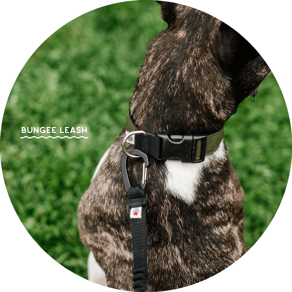 Hands-Free Dog Leash product image 9