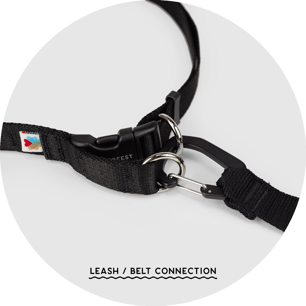 Hands-Free Dog Leash product image 12