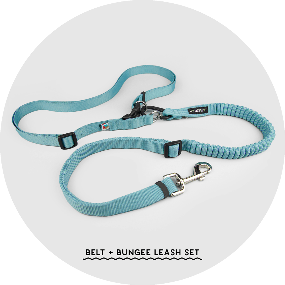 Hands-Free Dog Leash product image 13