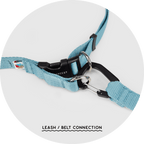 Hands-Free Dog Leash product image 18