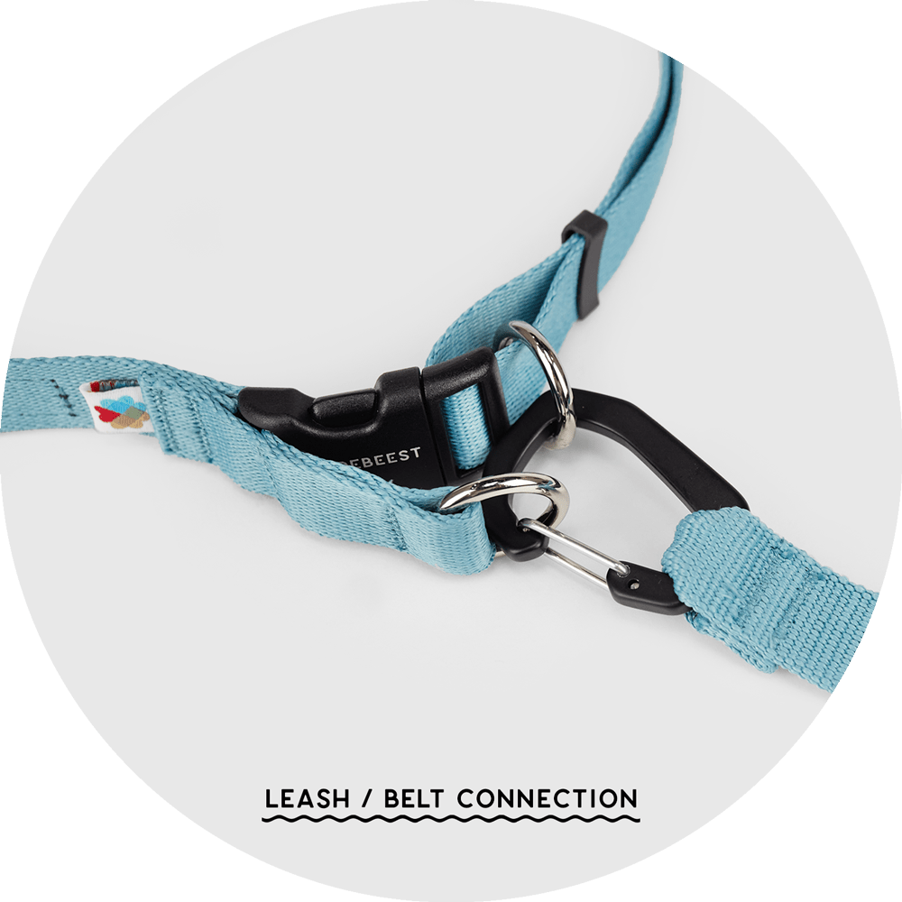 Hands-Free Dog Leash product image 18