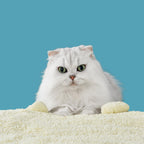 Plant-Based Cat Litter product image 7