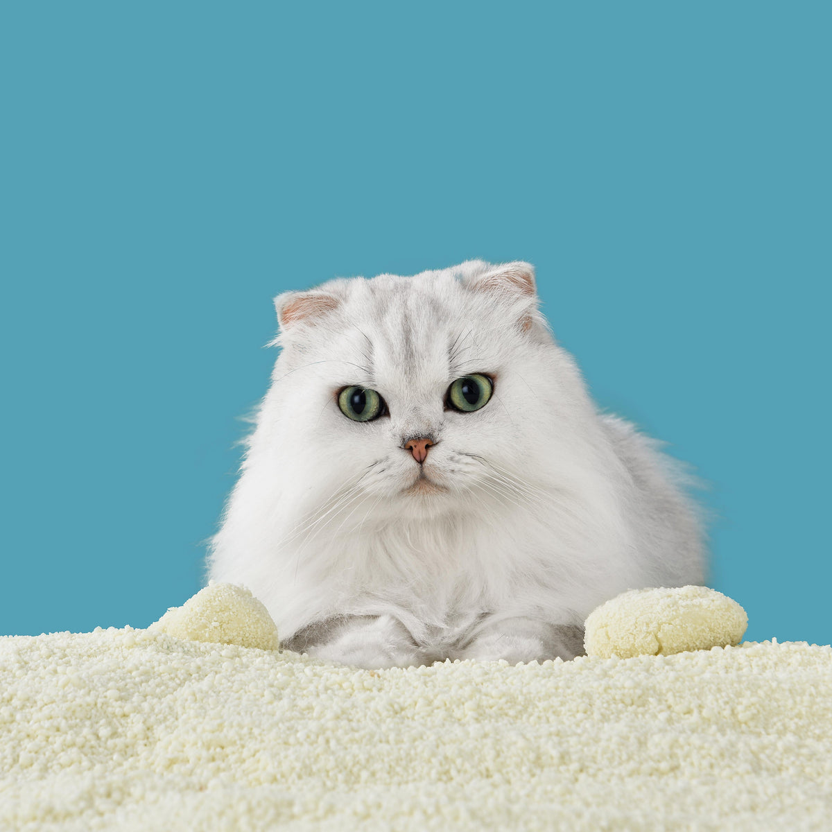 Plant-Based Cat Litter product image 7