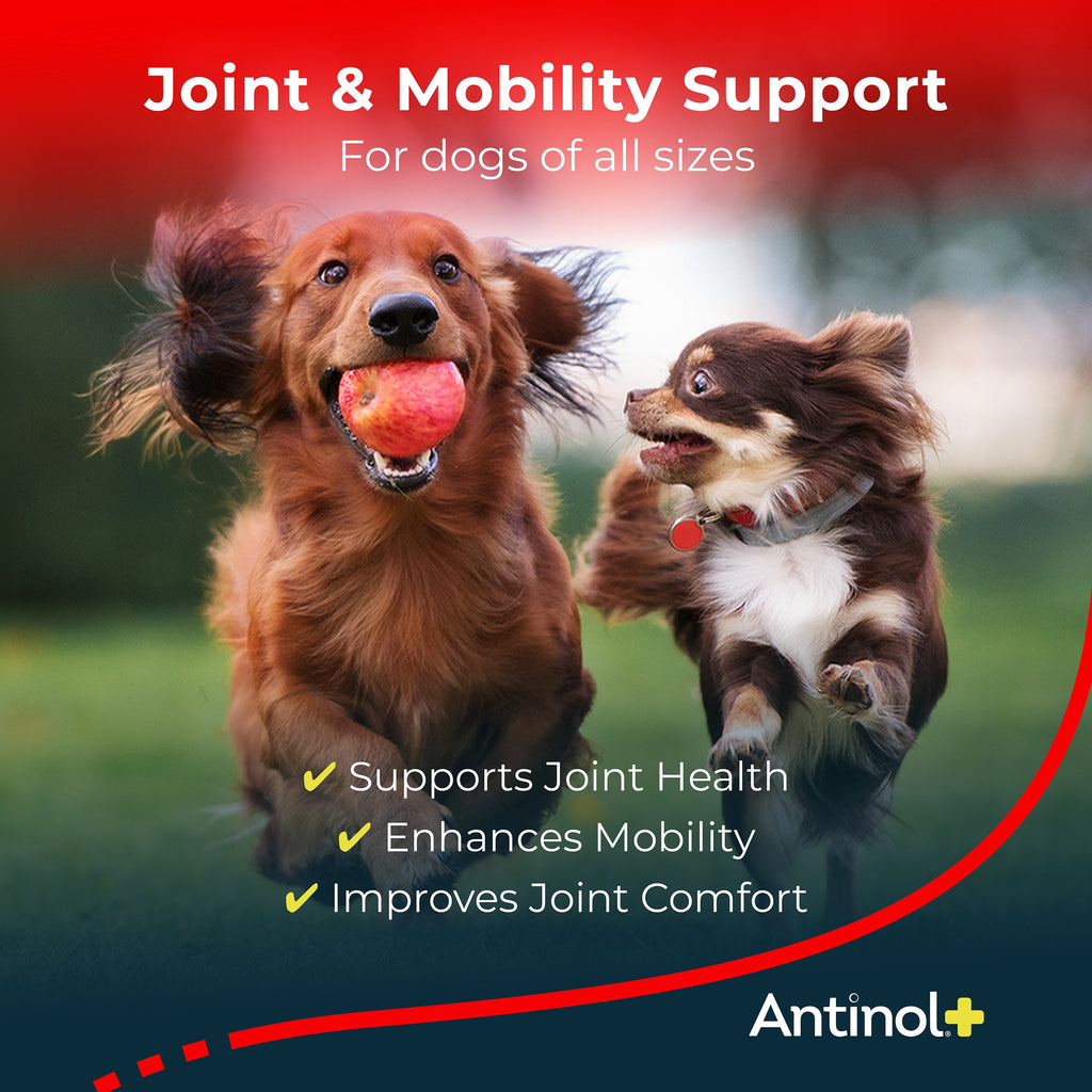 Pet Oil Supplement product image 2